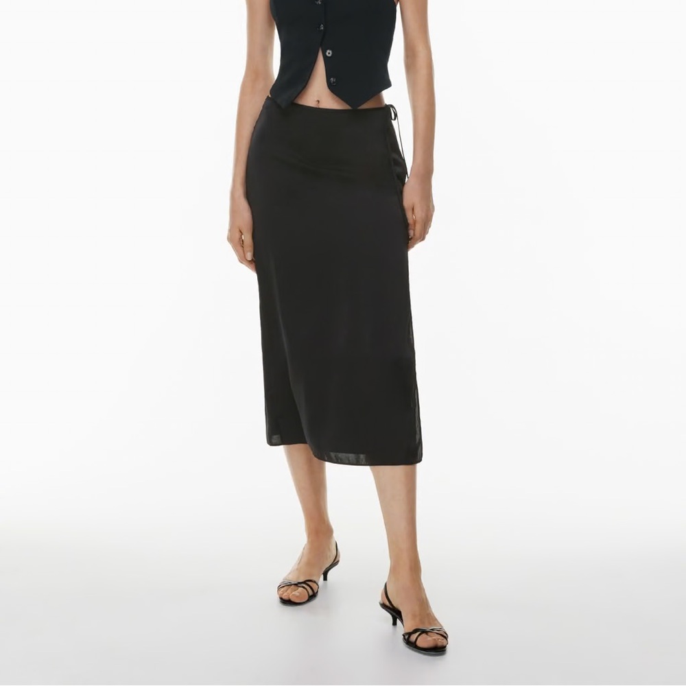 Aritzia Wilfred Elixir Satin Skirt